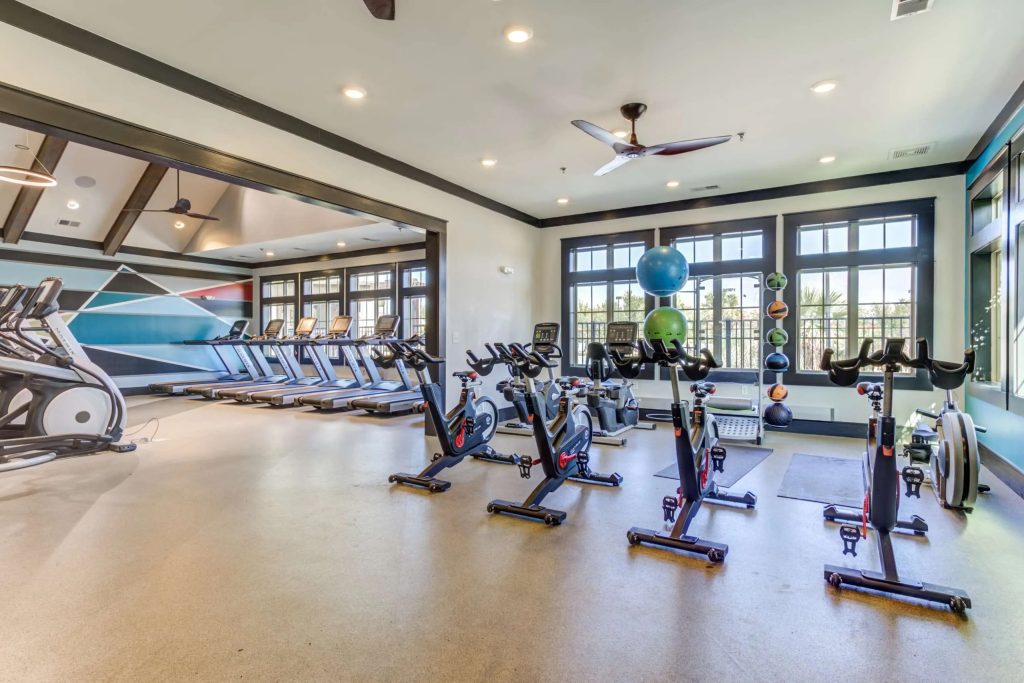 A bright gym room with several stationary bikes in the foreground, treadmills lined up in the background, large windows, exercise balls, and modern lighting.
